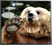 El Oso