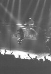 Iggy en vivo