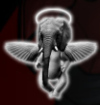 el Ni&ntilde;o Elefante !!