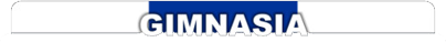 Gimnasia y Esgrima de La Plata - Futbol Argentino
