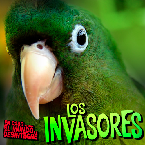 Los Invasores - Loros En Madrid - Podcast