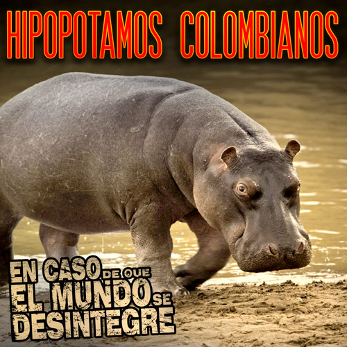 Hipopótamos Colombianos - Podcast
