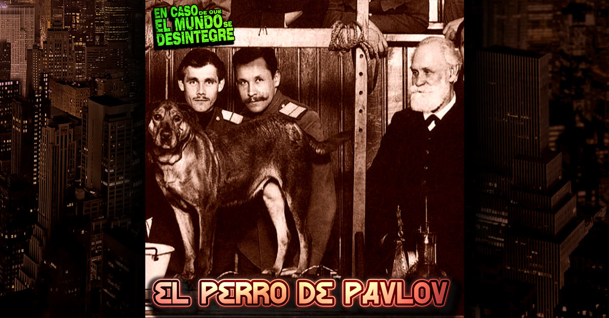 El Perro De Pavlov | 5353 ECDQEMSD Podcast