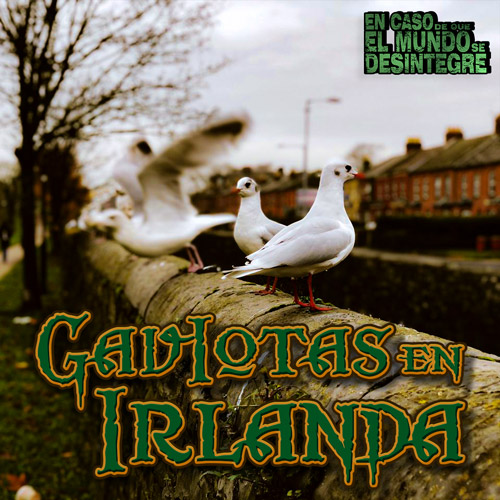 Gaviotas En Irlanda - Podcast