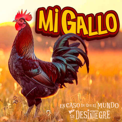 Mi Gallo - Podcast