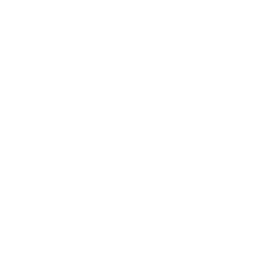 El Niño Elefante