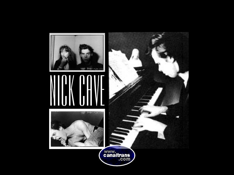 nick cave - wallpaper