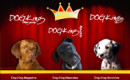 Dog King